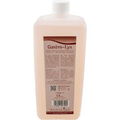 Gastro-Lys-Gleitgel - 1000 ml
