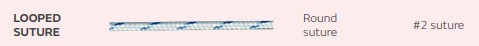 Looped Suture - USP#2 - gerade - cobraid